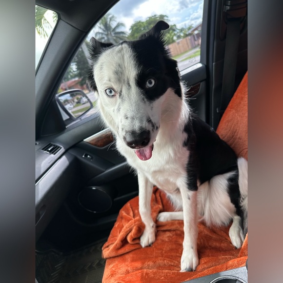 PLEASE LIKE THIS FLYER TO BE NOTIFIED-WEDNESDAY & THURSDAY @6:30 PM!👠👗👞👜👙💄👖👔 - Picture 14 of 17